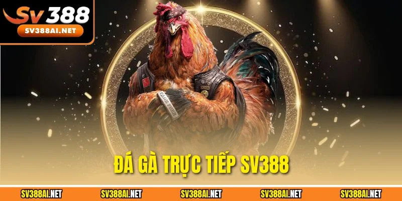 Đá Gà Trực Tiếp SV388 - Cơ Hội Giải Trí Nhận Quà Không Giới Hạn