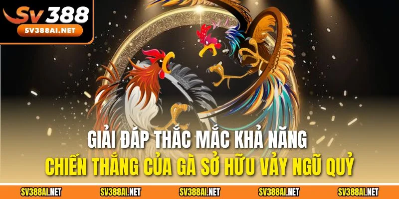 Giải đáp thắc mắc khả năng chiến thắng của gà sở hữu vảy ngũ quỷ