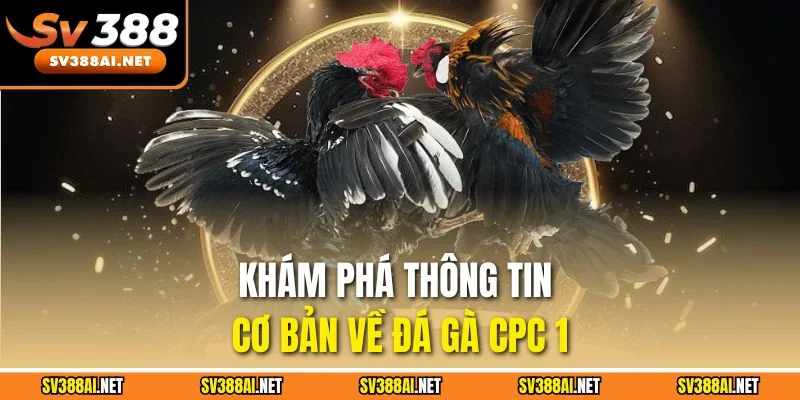 Khám phá thông tin cơ bản về đá gà CPC 1