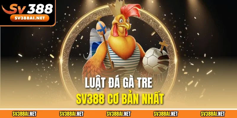 Luật đá gà tre SV388 cơ bản nhất