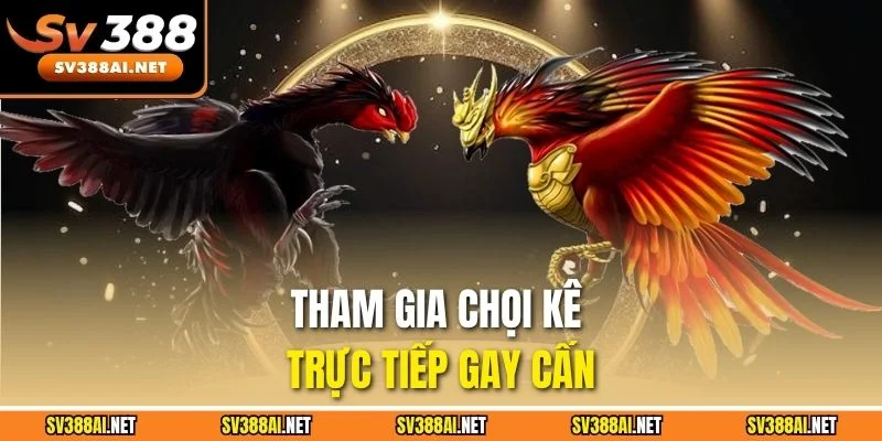 Tham gia chọi kê trực tiếp gay cấn