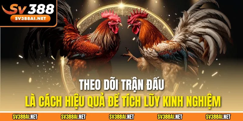 Theo dõi trận đấu là cách hiệu quả để tích lũy kinh nghiệm